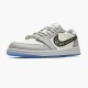 Air Jordan 1 NZ Retro Low Dr CN8608-002