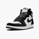 Air Jordan 1 NZ Retro High Panda CD0461-007