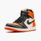 Air Jordan 1 NZ Retro Shattered Backboard 555088-005