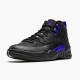 Air Jordan 12 NZ Retro Black Dark Concord CT8013-005