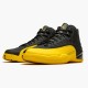 Air Jordan 12 NZ Retro Black University Gold 130690-070