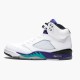 Air Jordan 5 NZ Retro Grape (2013) 136027-108