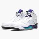 Air Jordan 5 NZ Retro Grape (2013) 136027-108