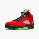 Air Jordan 5 NZ Retro What The CZ5725-700